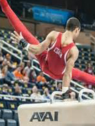 NCAA Men's Gymnastics